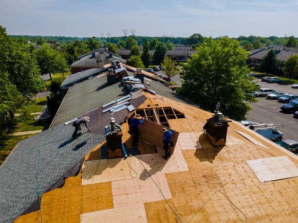 Best Storm Damage Roof Repair  in Groveton, VA