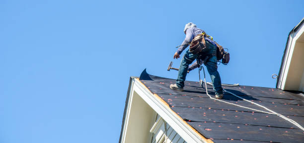Best Roof Gutter Cleaning  in Groveton, VA
